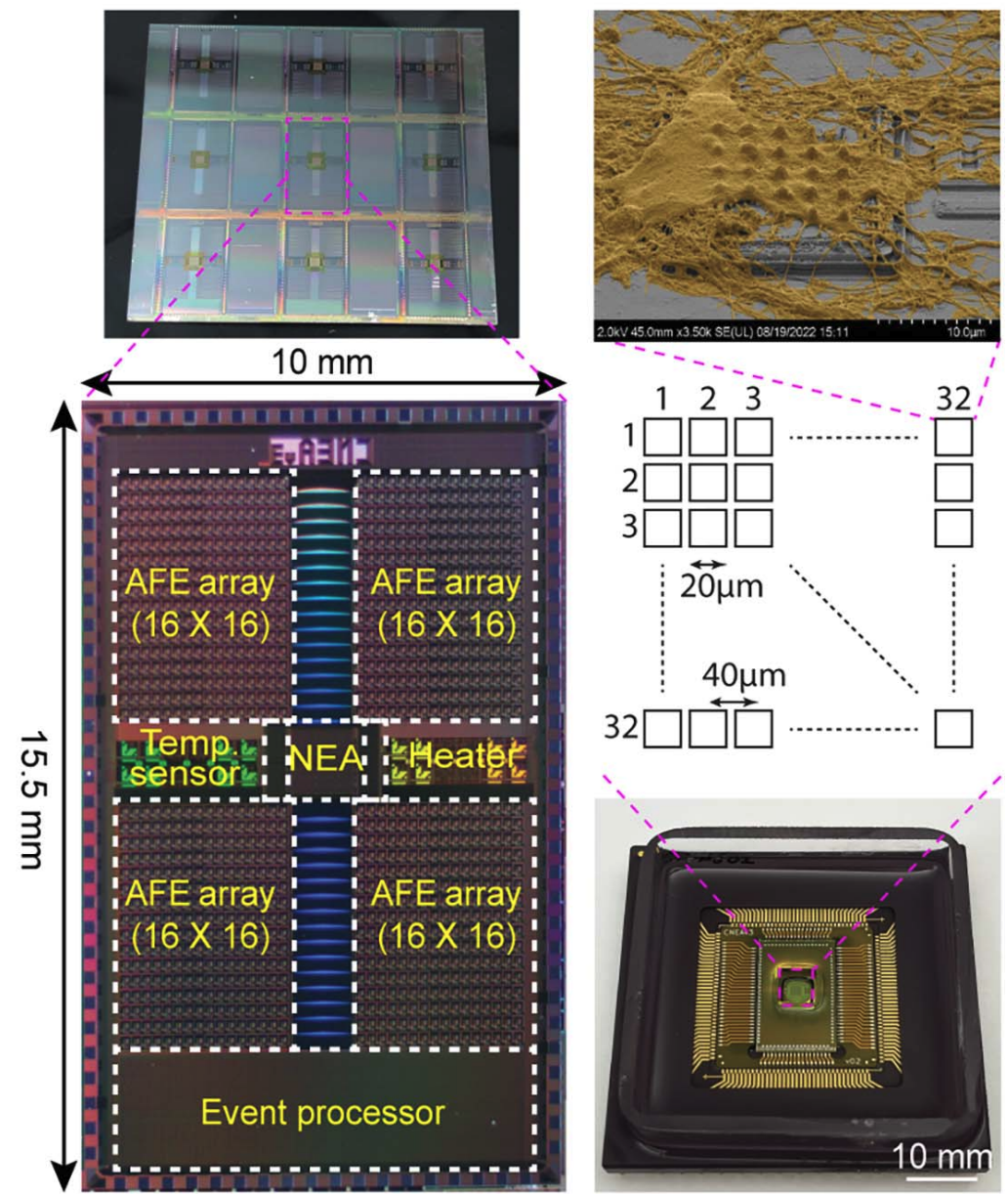 Scalable CMOS neural interface