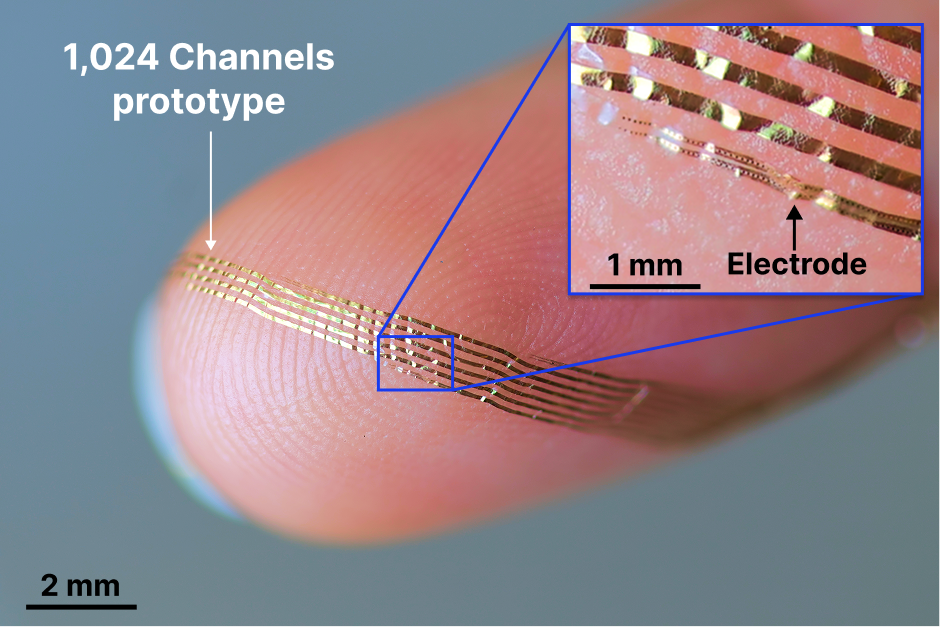 Ultrasoft Elastomer Neural Interface